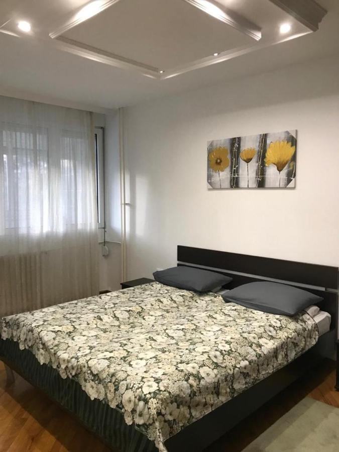 Bulevar Nt Novi Beograd, Zemun Ngoại thất bức ảnh